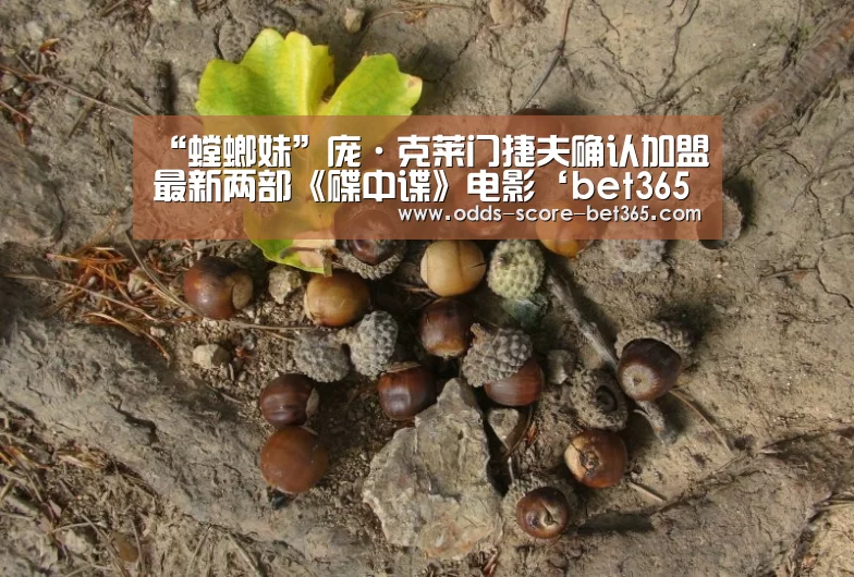 “螳螂妹”庞·克莱门捷夫确认加盟最新两部《碟中谍》电影‘bet365网站’(图3)